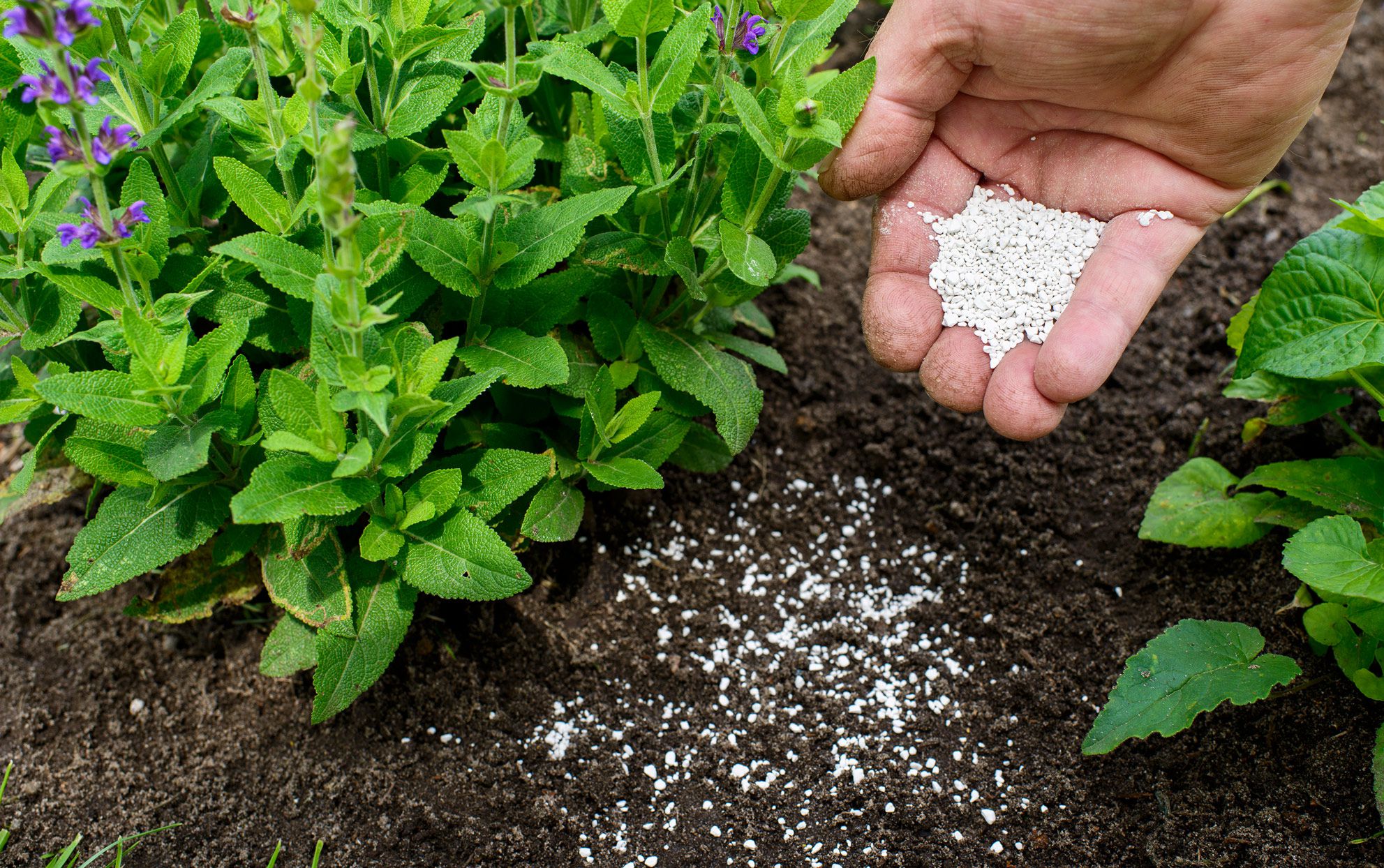 Agriculture & Fertilizers